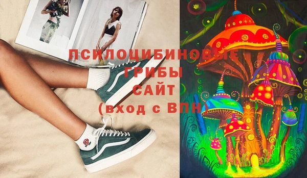 mdpv Армянск