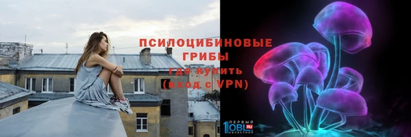 СК Арсеньев