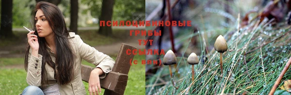 МДМА Богданович