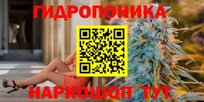 mix Новозыбков