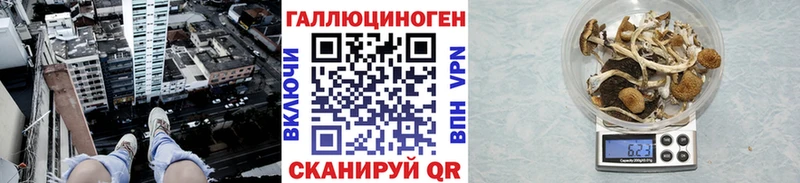 блэк спрут ONION  Строитель  Псилоцибиновые грибы мицелий  где продают наркотики 