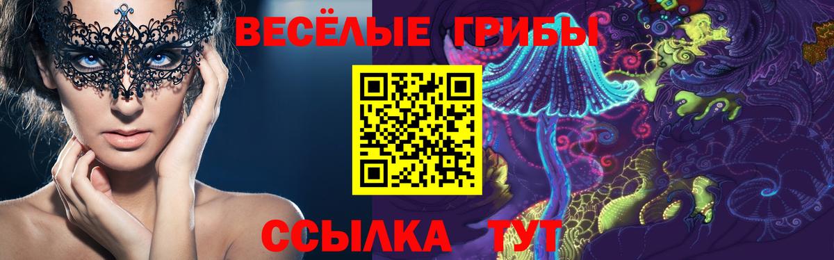 Псилоцибиновые грибы Psilocybe Строитель