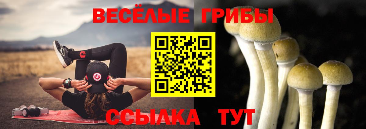 Галлюциногенные грибы GOLDEN TEACHER  Вход с VPN  Строитель 
